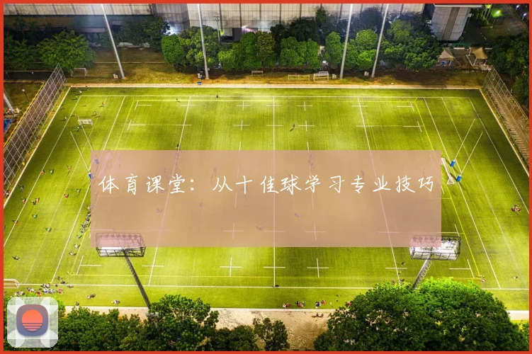 体育课堂：从十佳球学习专业技巧